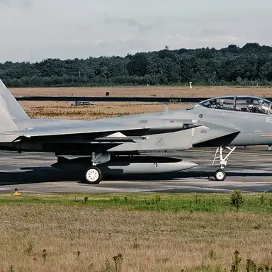 Profile image of F-15B