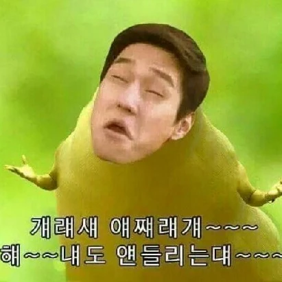 붕쉰