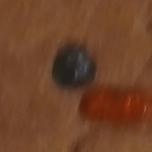 평학