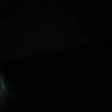 Profile image of 백강혁