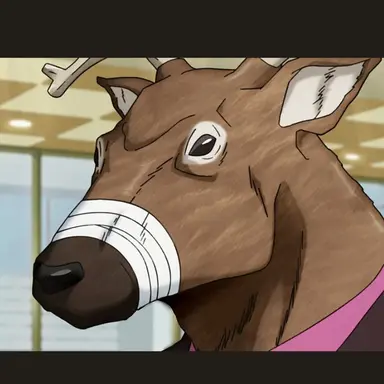 Profile image of 카시마