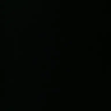 Profile image of 남유주