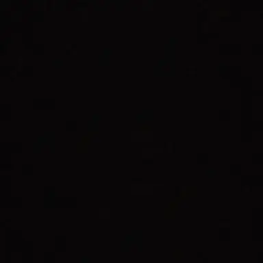 Profile image of 라키