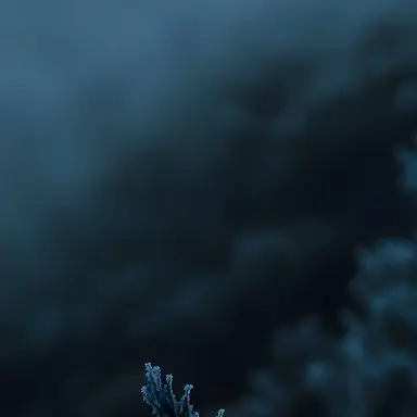 Profile image of Caleb