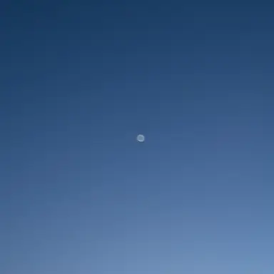 Profile image of 최슴철