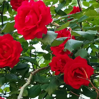 Profile image of 유저