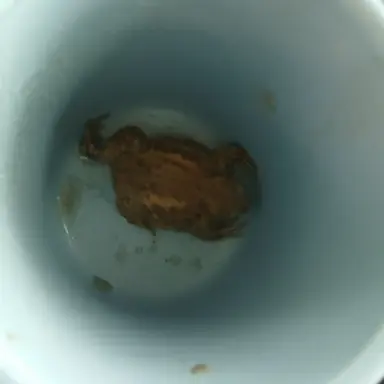 Profile image of 엄마