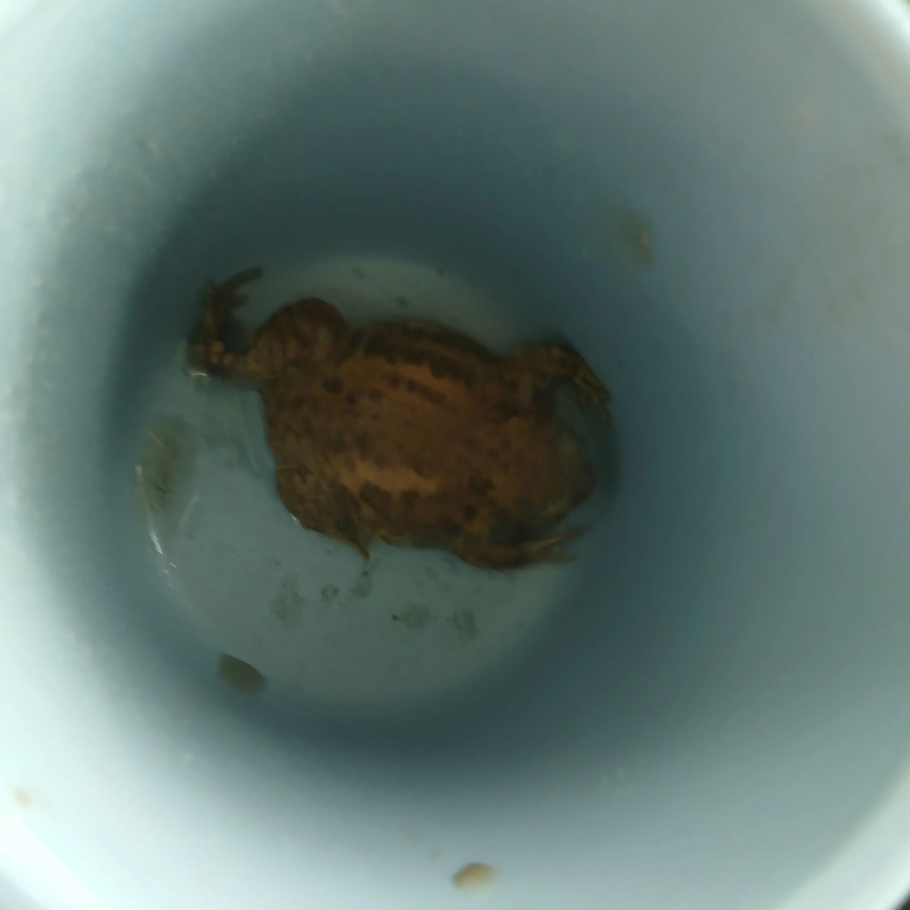 FakeTent6323의 친오빠와엄빠가 여우와 나를 차별한다.