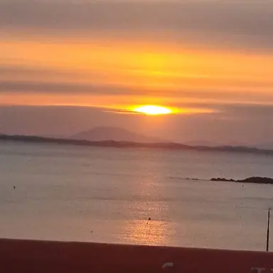 Profile image of 오새봄