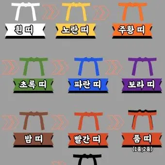 Profile image of 태권도띠순서
