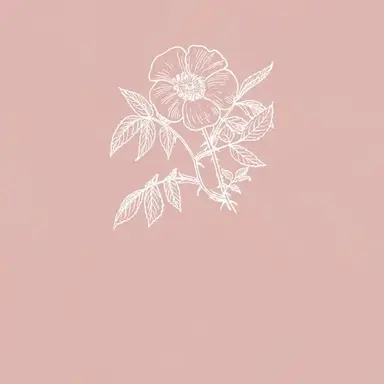 Profile image of 小柳