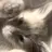 화수🐈‍⬛