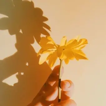 Profile image of 퓨어바닐라 쿠키