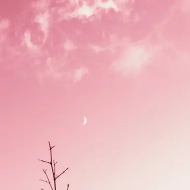 Profile image of 이터널슈가 쿠키