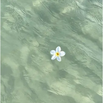 Profile image of 세인트릴리 쿠키