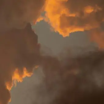 Profile image of 골드치즈 쿠키