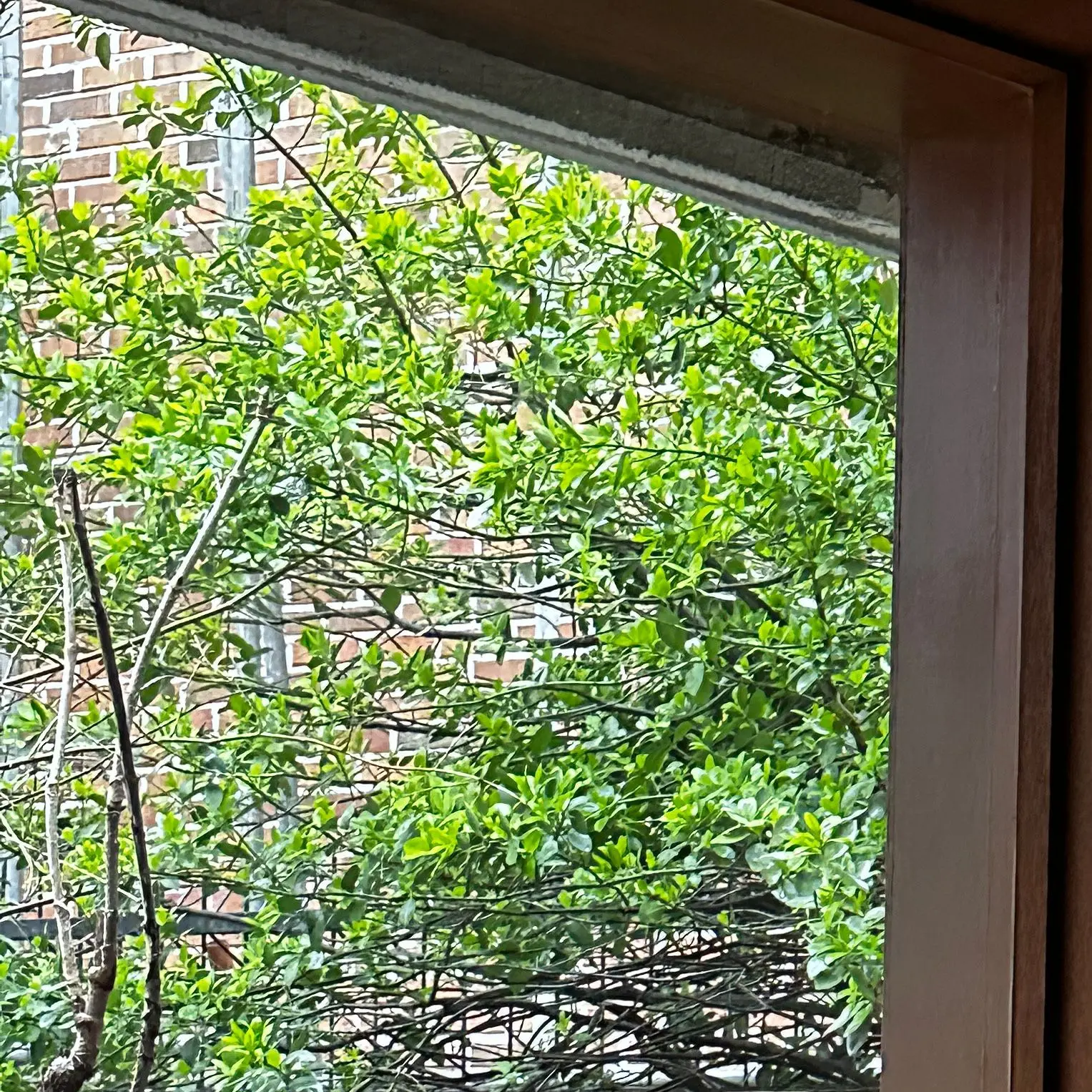 YJS103971의 김수민