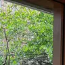 Profile image of 김수민