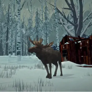 Profile image of 무스