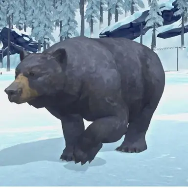 Profile image of 곰