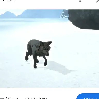 Profile image of 늑대