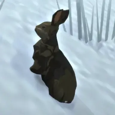 Profile image of 토끼