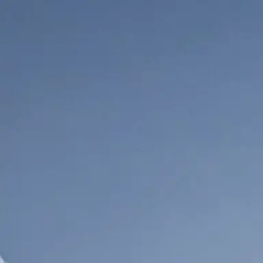 Profile image of 幻影旅団