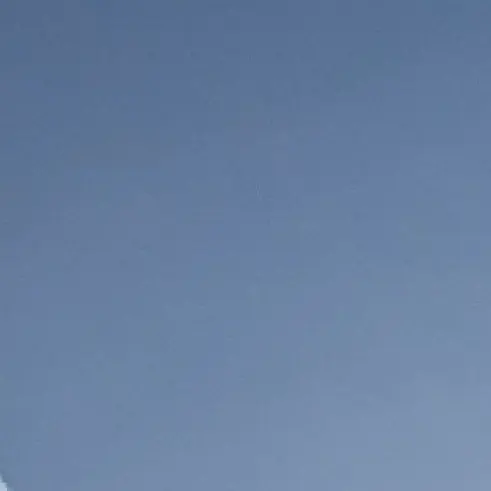 TidyHiker2250의 うちが生きたいように生きるから