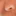 오지율