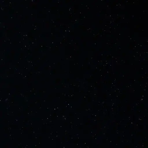 EliteTie4616의 라이즈