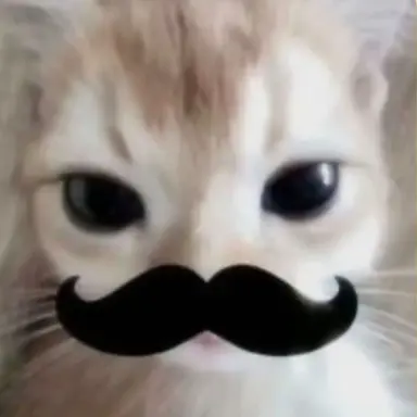 Profile image of 먕