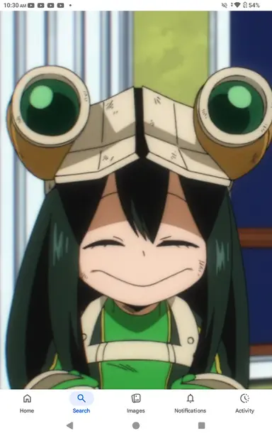 Profile image of Tsuyu Asui