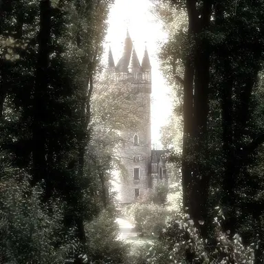 Profile image of Alex Rodriguez