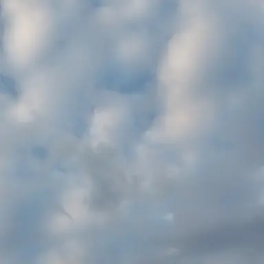 Profile image of 잠뜰