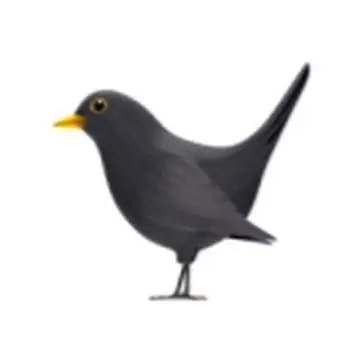 Profile image of 烏丸蘭丸