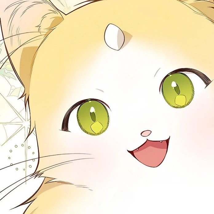 양이