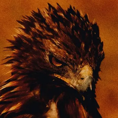 Profile image of Black beard