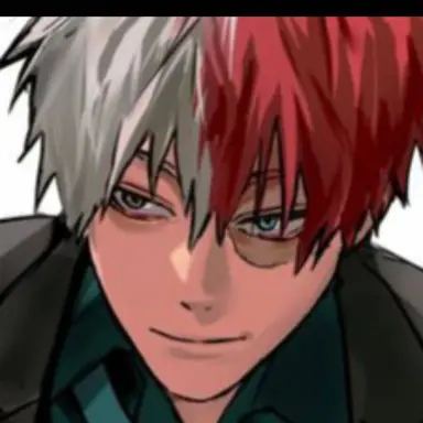 Profile image of Shoto Todoroki