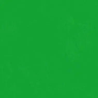 Profile image of ねが