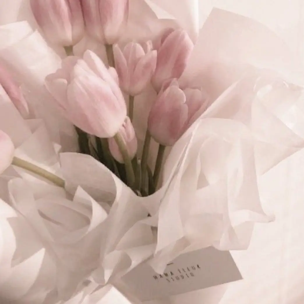 DaftlyCream1905의 使用禁止