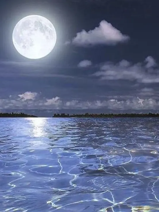 ILOVEU1016의 고고프렌즈