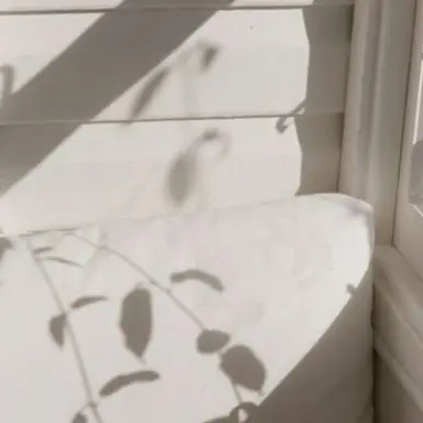 Profile image of 모찌엘