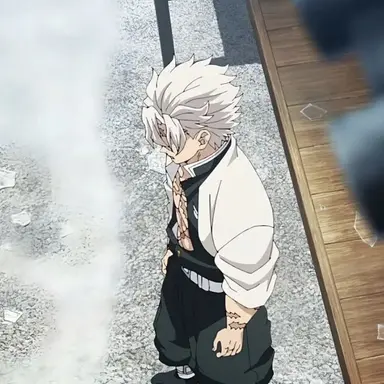 Profile image of 시나즈가와 사네미