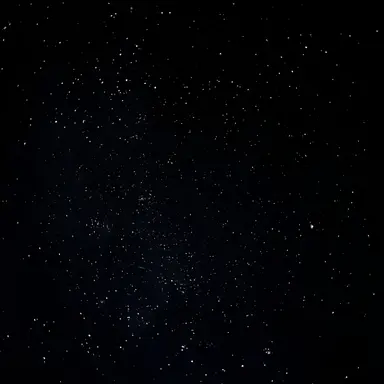 Profile image of 키쉬 피추완