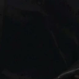 김선우
