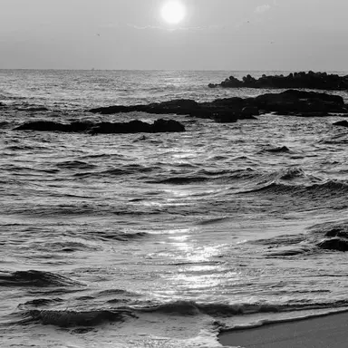 Profile image of 정윤호