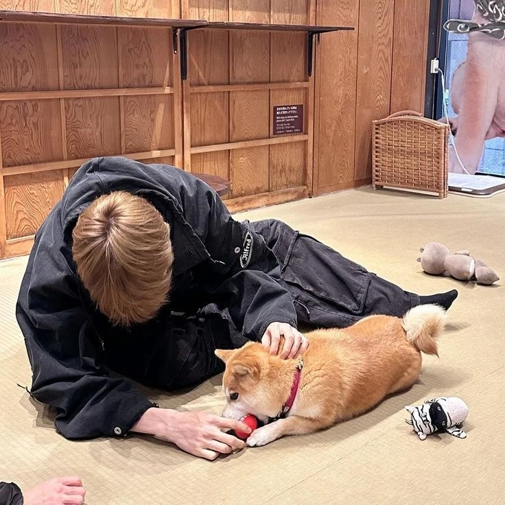 정성찬