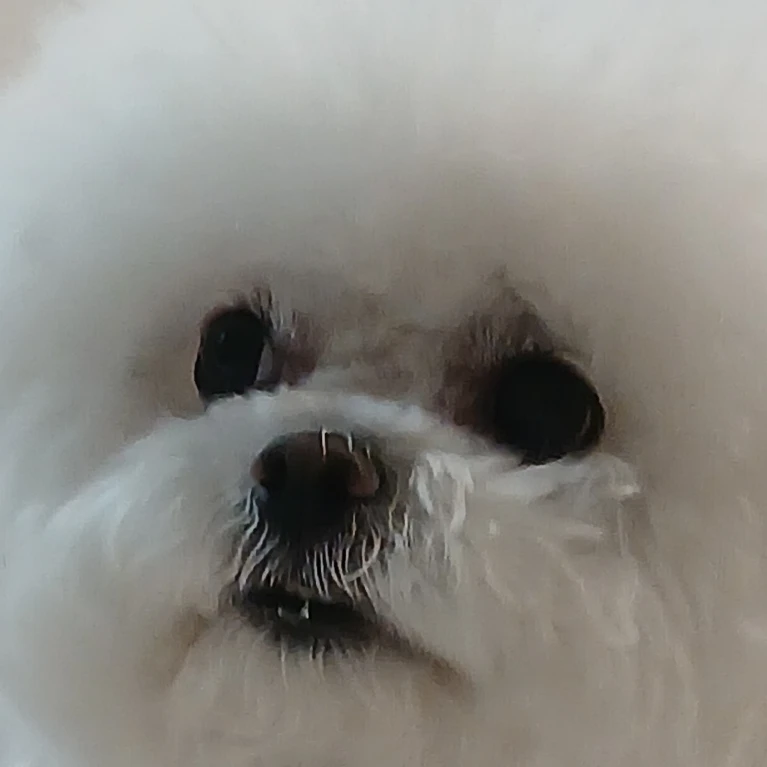 수이