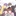 싡비아파트