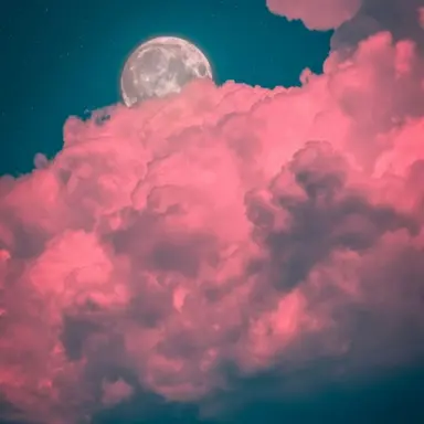 Profile image of 달빛